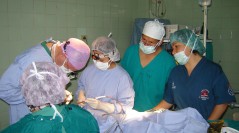 Two plastic-surgery projects!